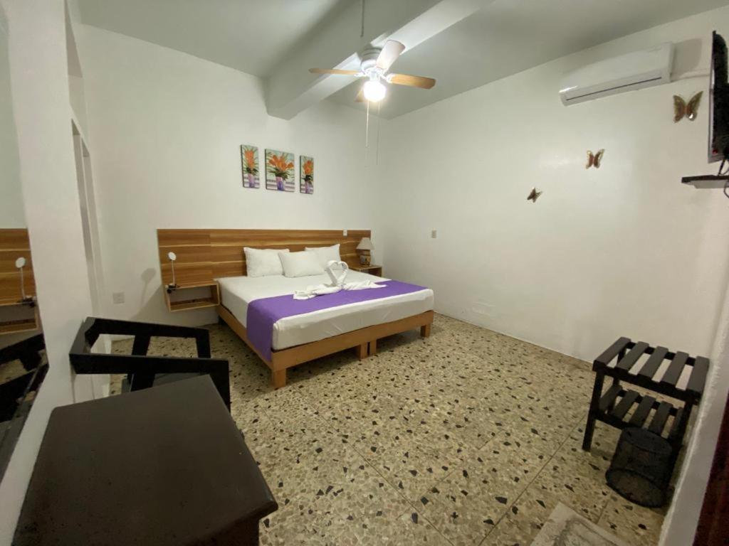 מלון Oaxaca Casa Gubidxa מראה חיצוני תמונה